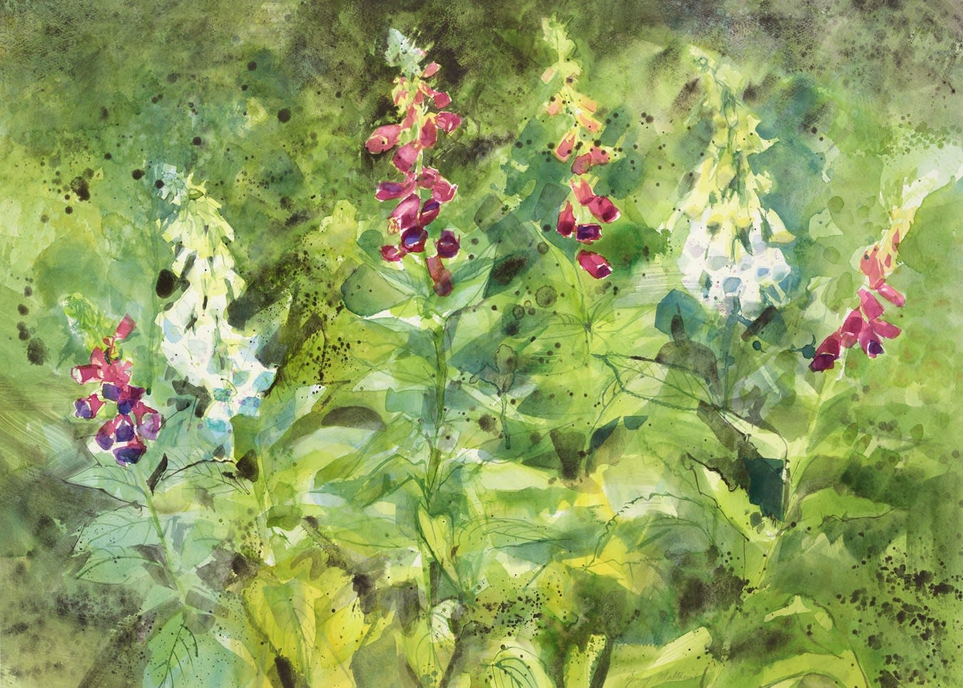 Jenny Matthews RSW, Foxgloves