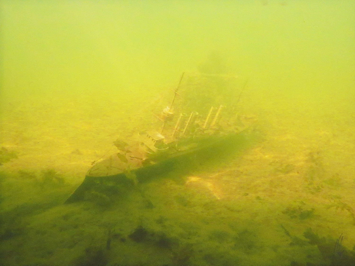 Nils Lagergren, Panache, Ghost Fleet