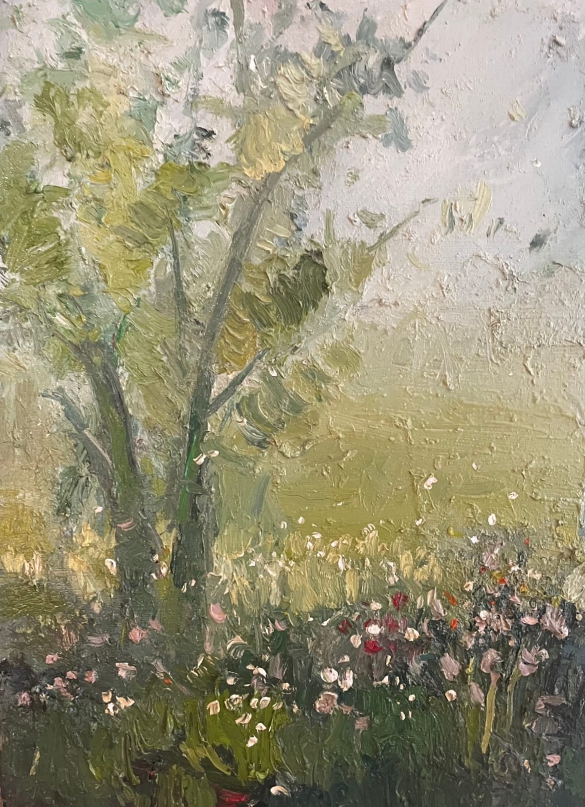 Rachel Arif AMAFA, Kentish Wildflower