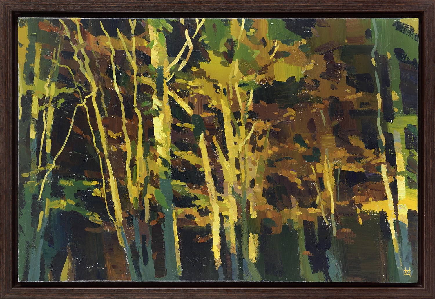 Hashim Akib, Dreams of Light