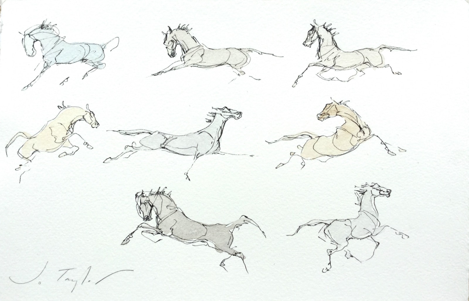 Jo Taylor, Little Horses I