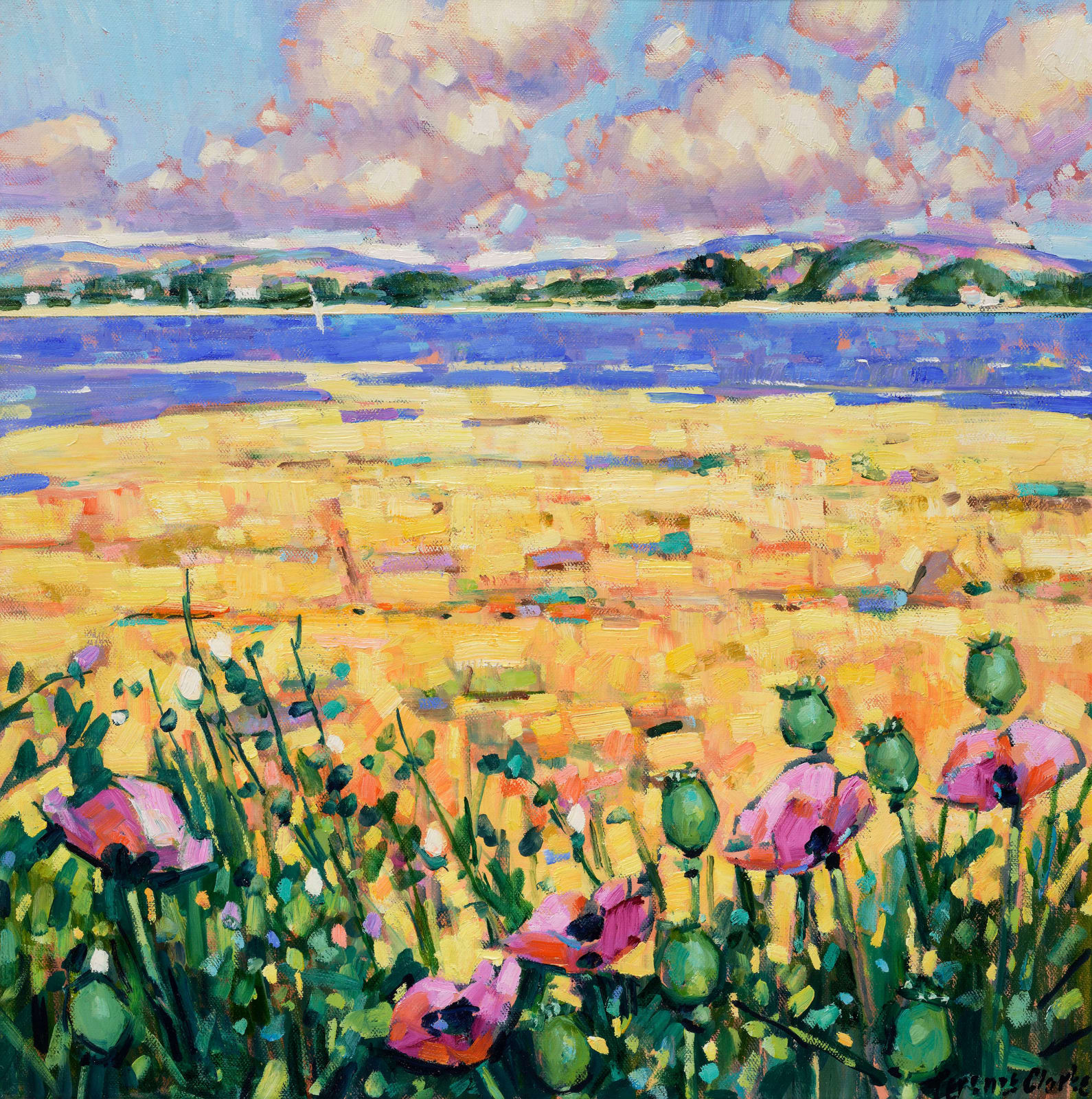 Terence Clarke, Galloway Poppies