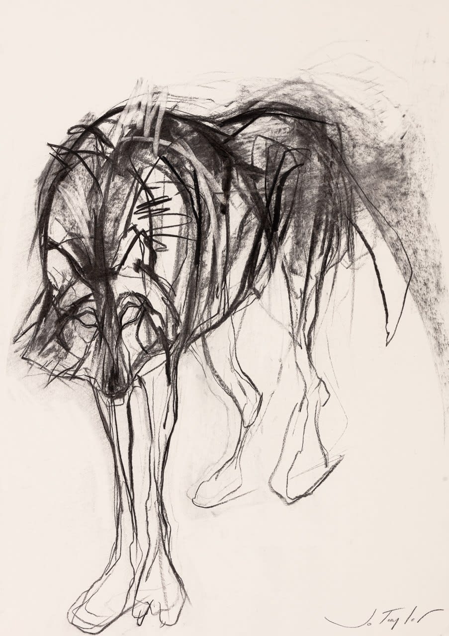 Jo Taylor, Wolf