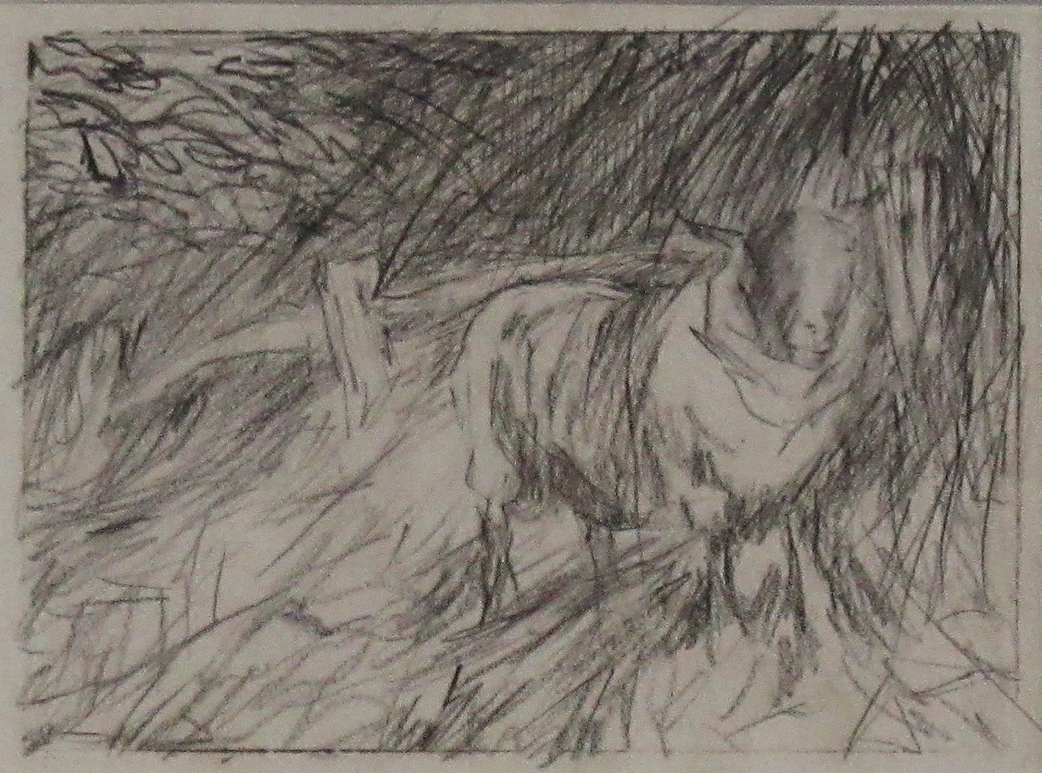 Harry Becker, Sheep by a Fence