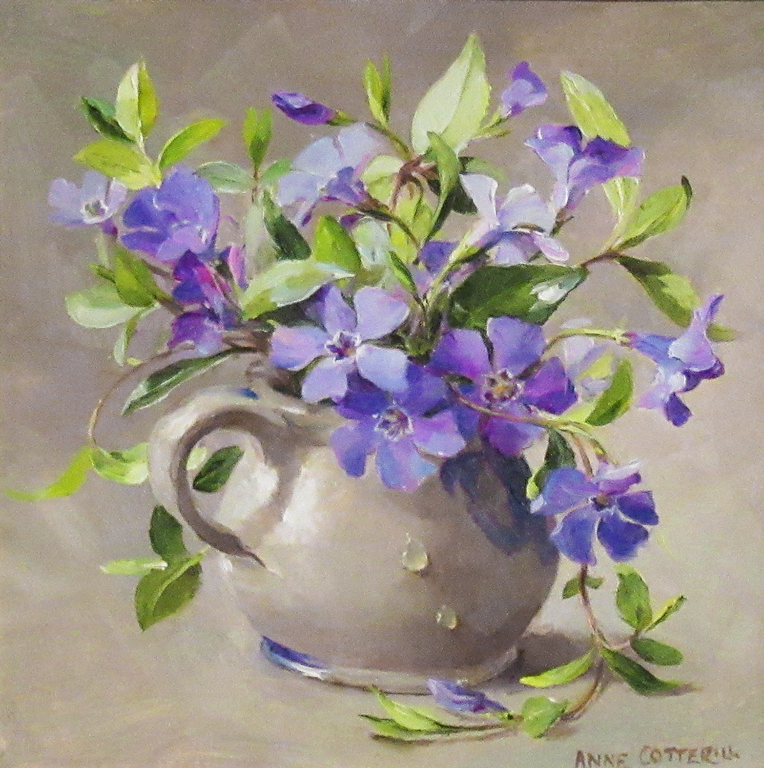 Anne Cotterill, Periwinkle