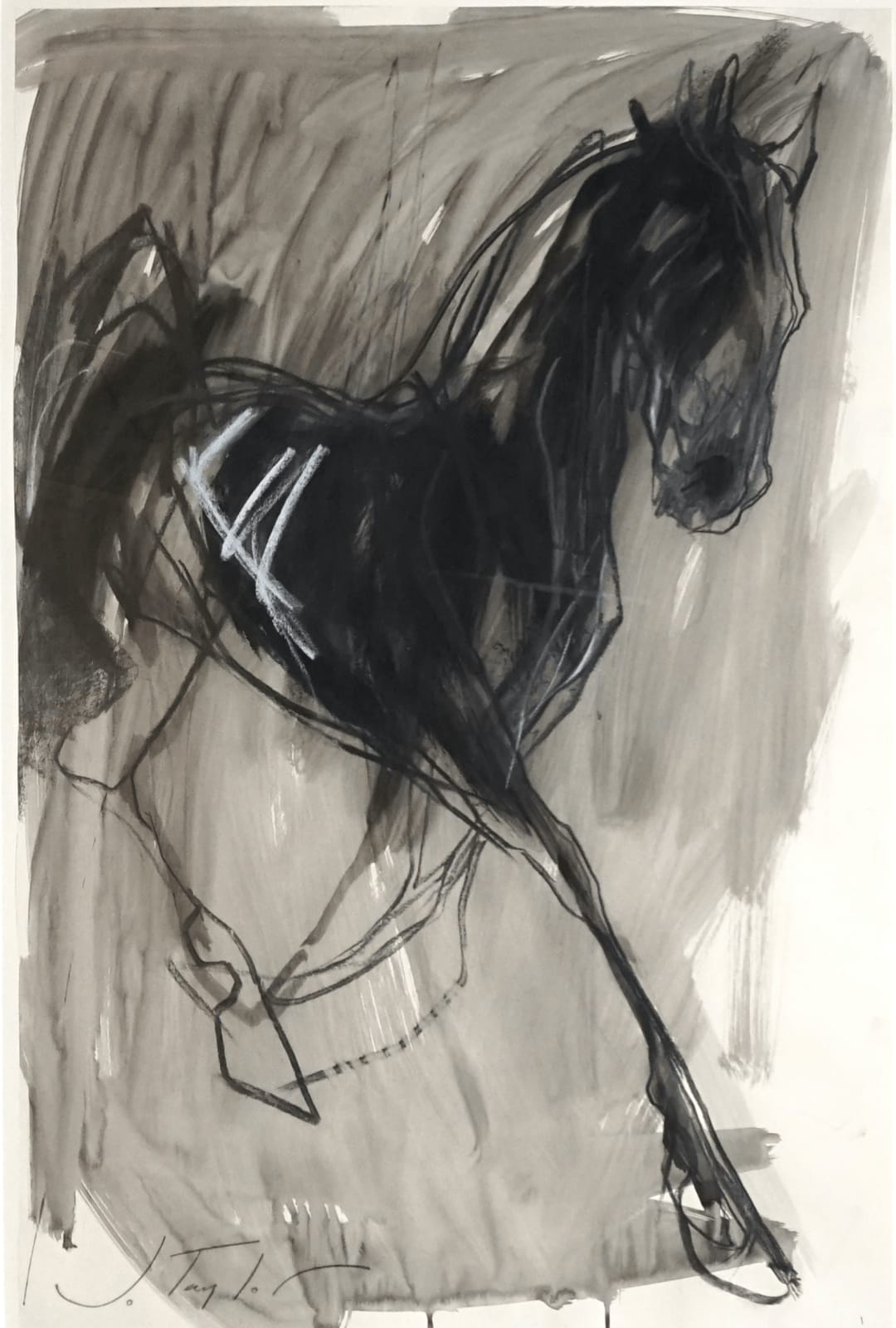Jo Taylor, Storm Horse