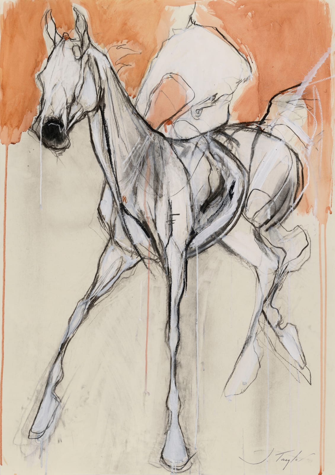 Jo Taylor, Afterglow II