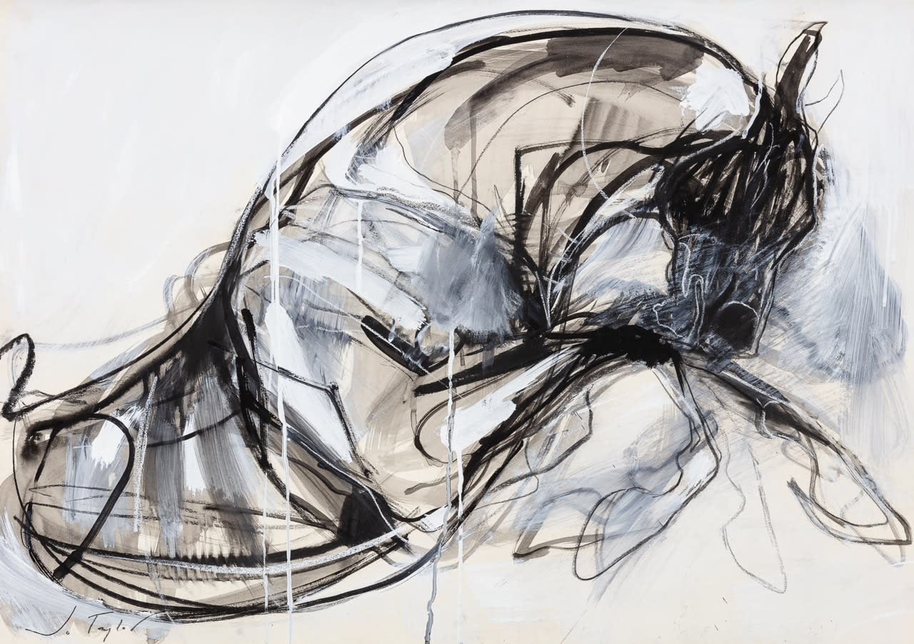 Jo Taylor, Storm Horse