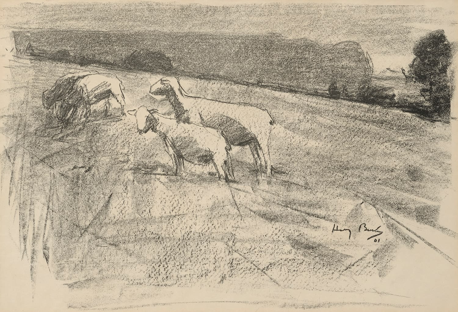 Harry Becker, Sheep on a Field