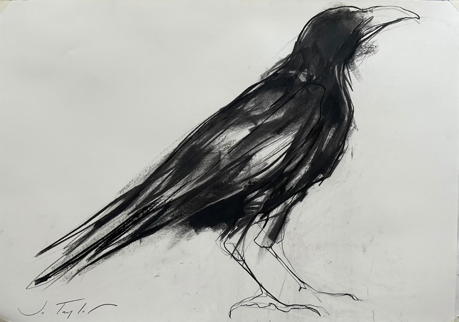 Jo Taylor, Crow