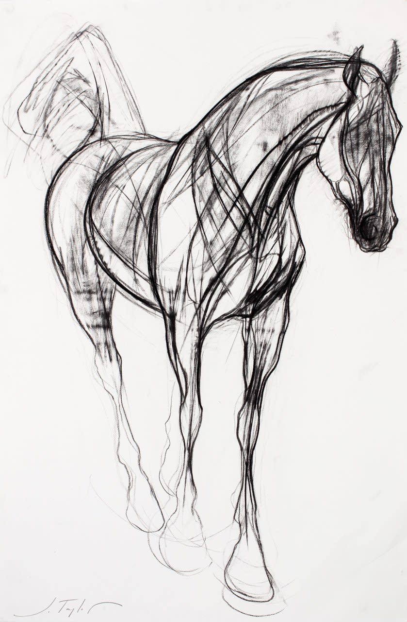 Jo Taylor, The Soul Thief