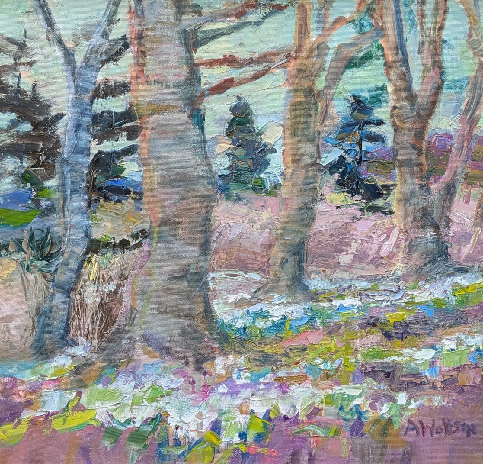 Alma Wolfson DA, Drifting Snowdrops