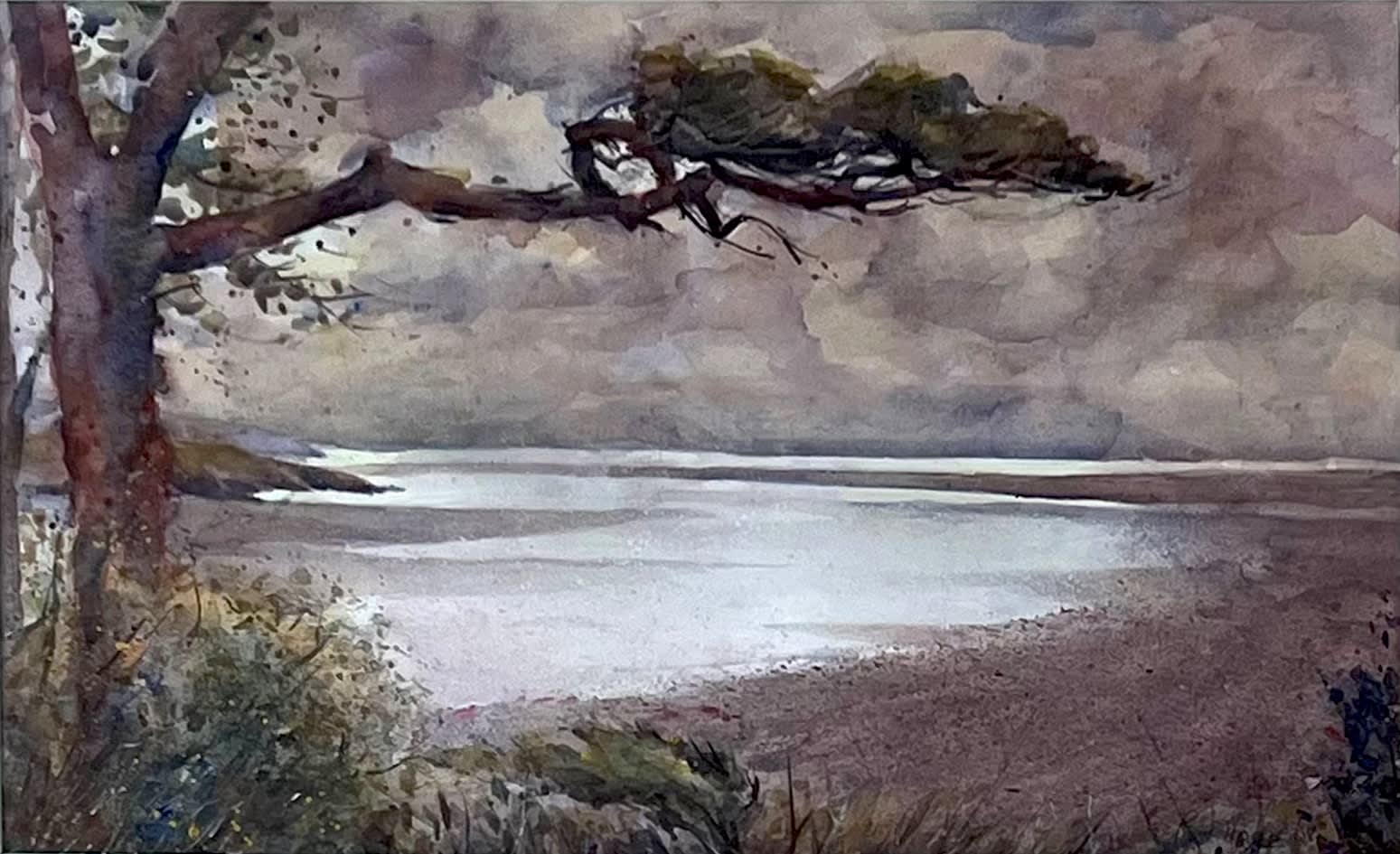 Paul Hoare CWS, Umbrella Tree, Falmouth