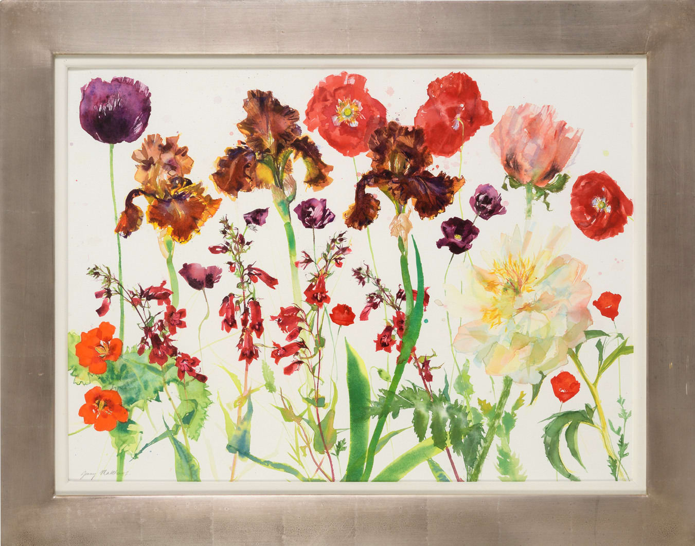 Jenny Matthews RSW, Russet Irises