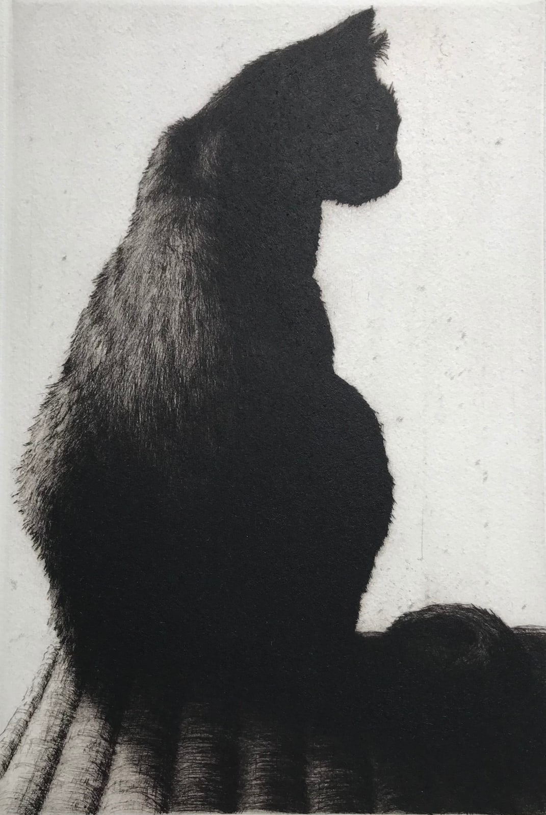 Helen Fay, Full Moon