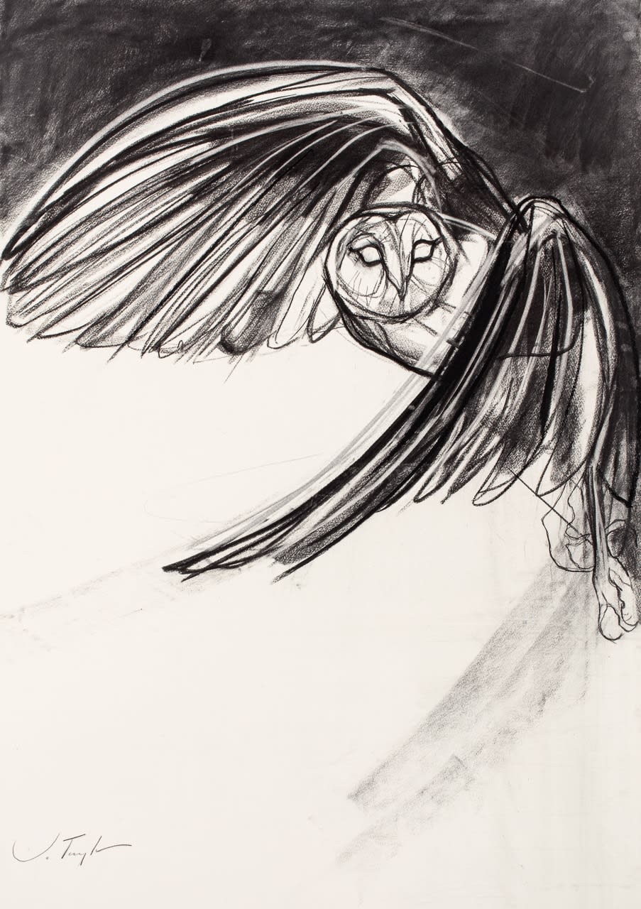 Jo Taylor, Night Flight