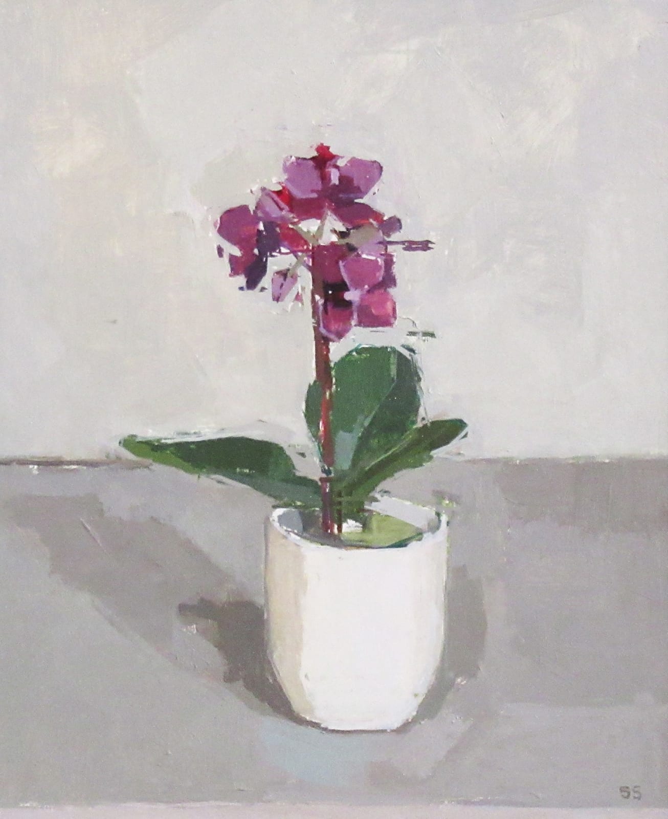 Sarah Spackman RBA ROI, Little Orchid