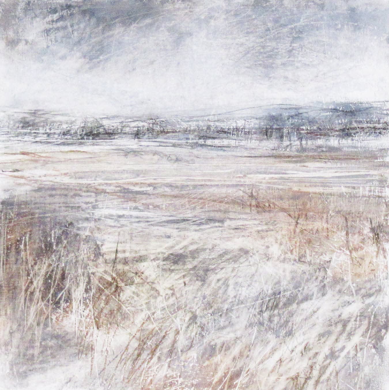 Janine Baldwin PS, Bleak Beauty