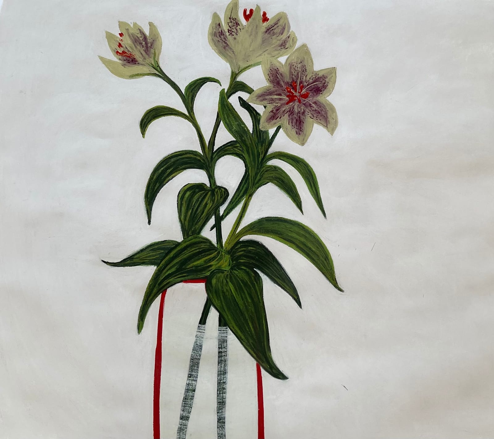 Angela A'Court PS, Asiatic Lilium I