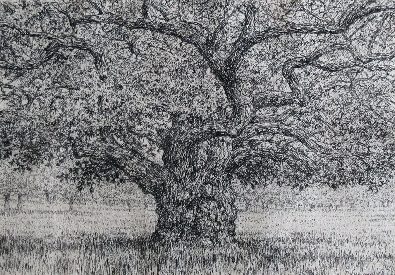 Roy Wright PS, Beneath the Summer Oak 2021