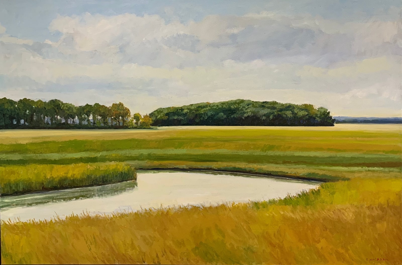 Jonathan Macadam, North Shore Marsh 24 x 36