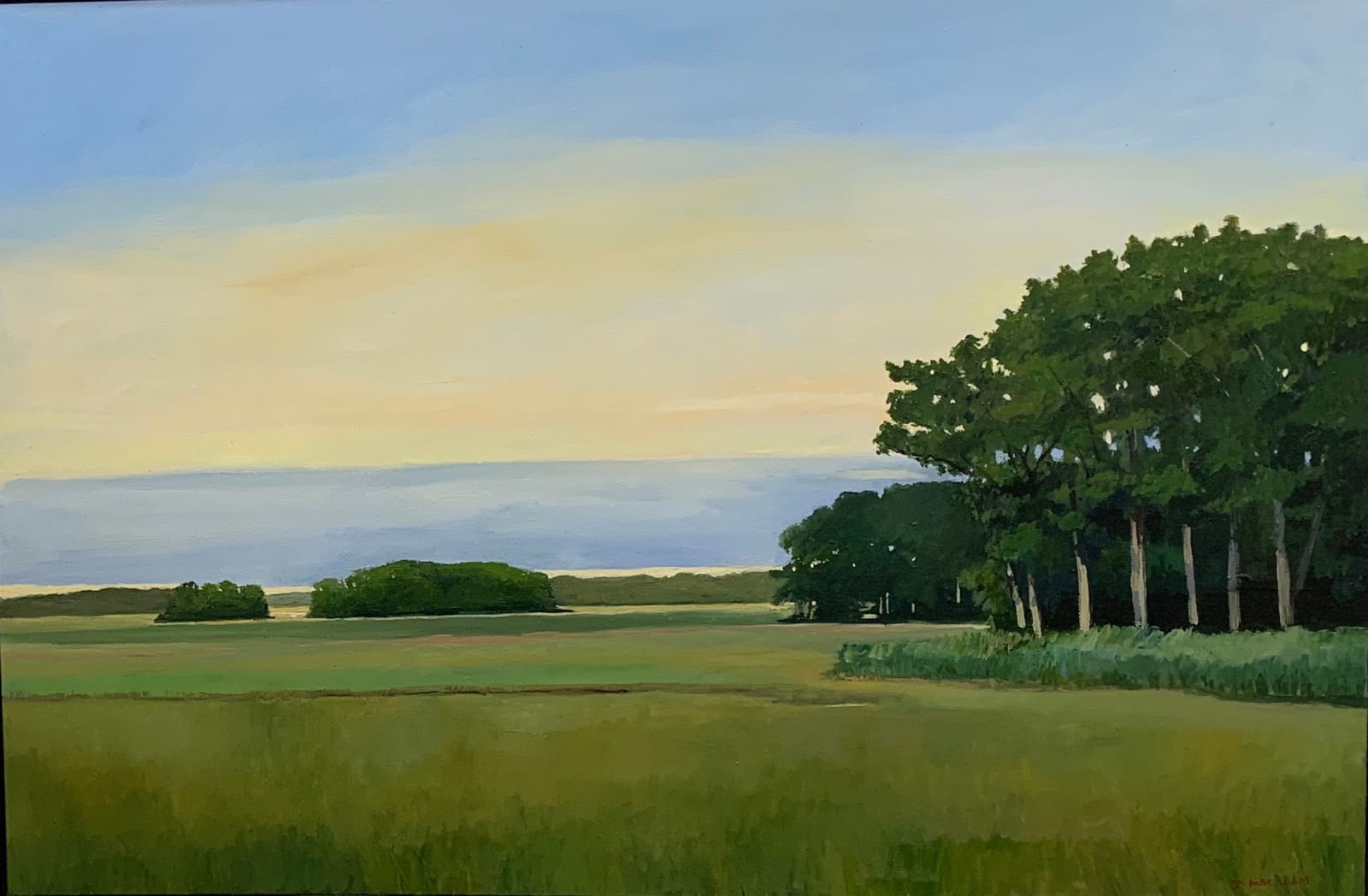 Jonathan Macadam, Golden Hour on the Marsh 24 x 36, 2023