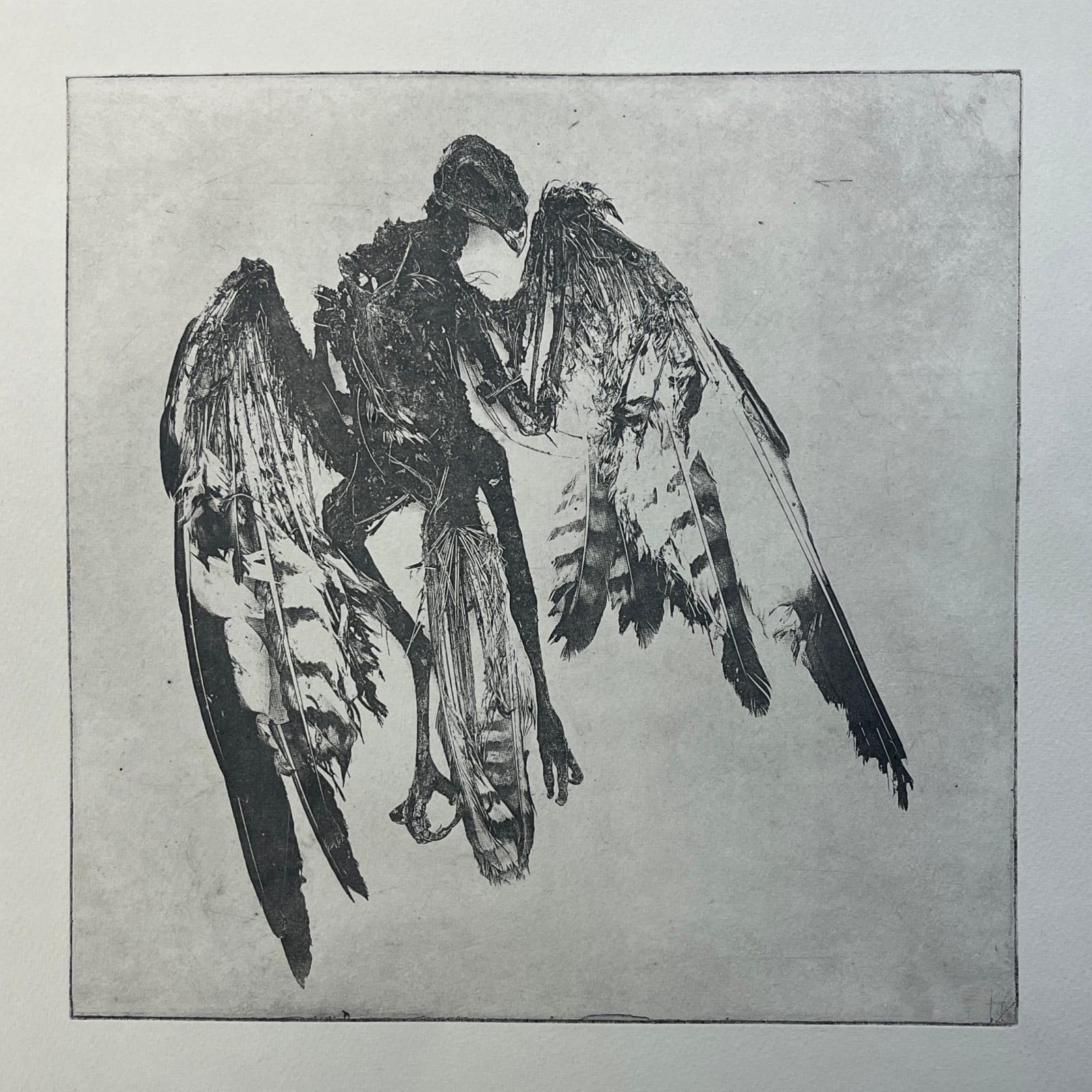 Innes MacLellan, Silent Ashes, 2025