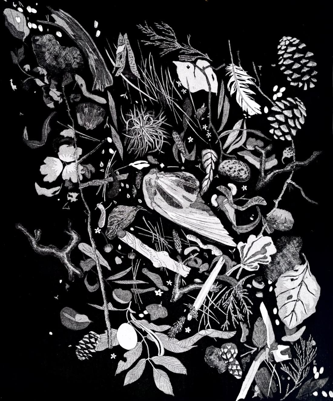 Aisling Smith, Natural, 2025