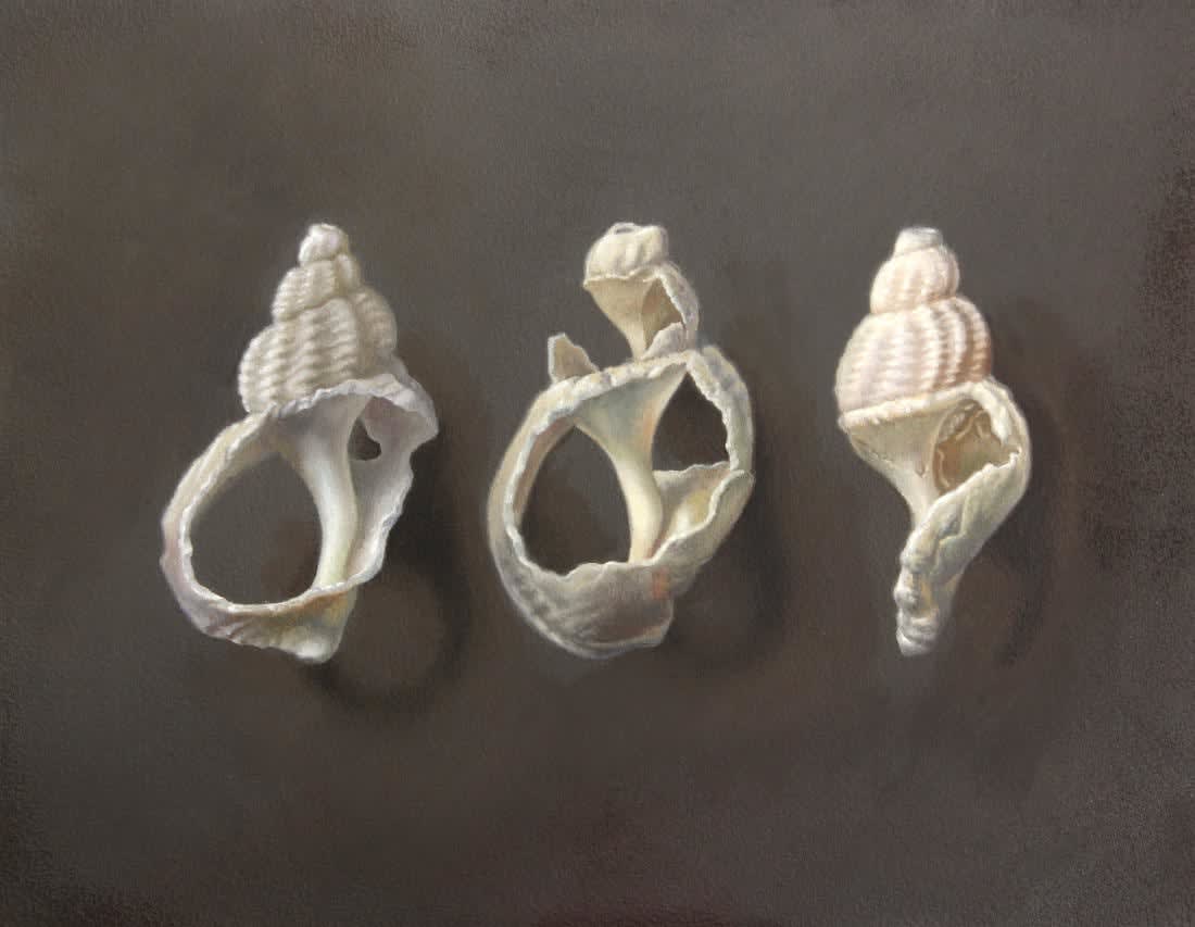 Peter George Underhill, Broken Homes, 2025