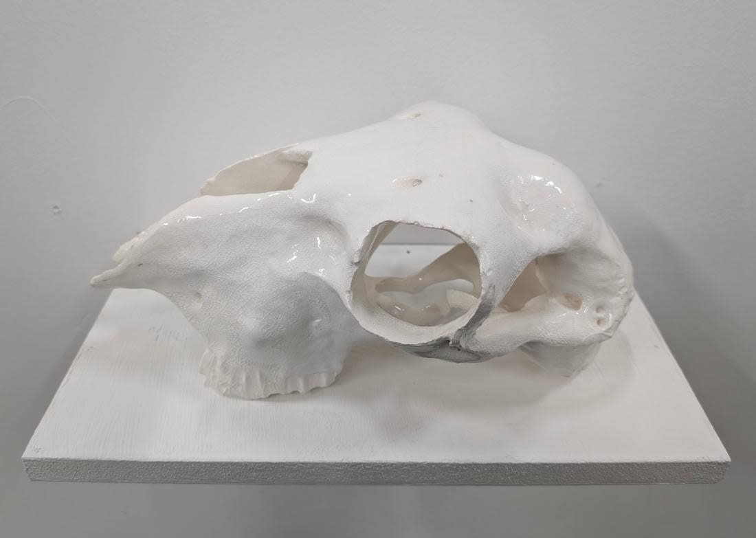 Cara McAllister, Sheep Skull , 2025