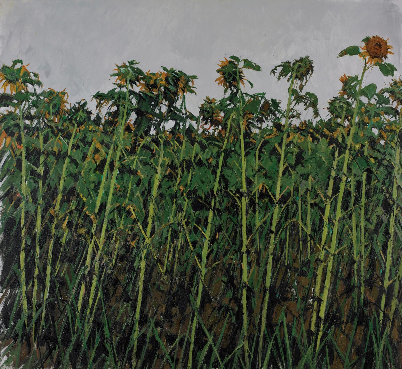 許江, 獨自傾心, 2005