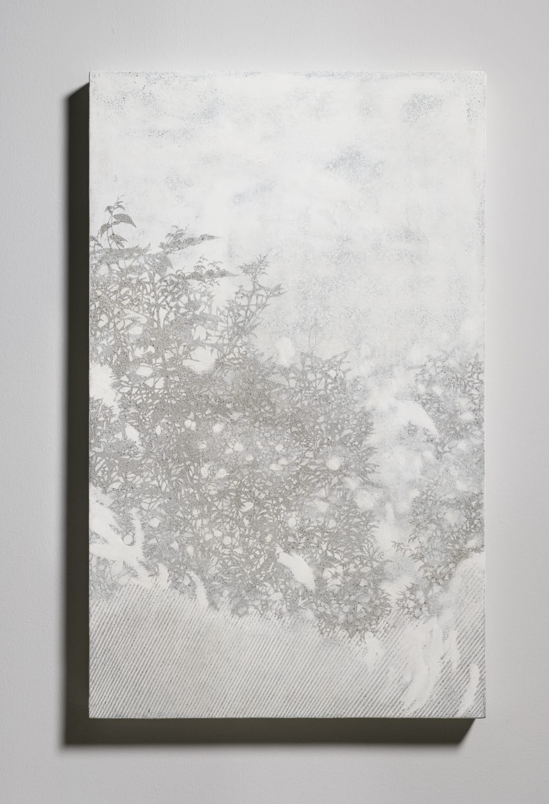 邱承宏 Chiu Chen Hung, 採光 No. 23 Daylighting No. 23, 2021