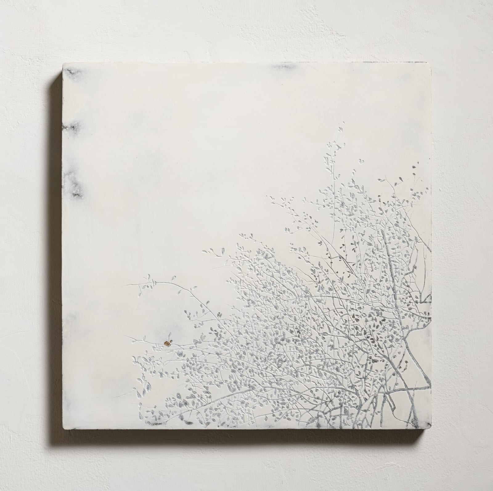 邱承宏 Chiu Chen Hung, 採光 No. 59 Daylighting No. 59, 2025