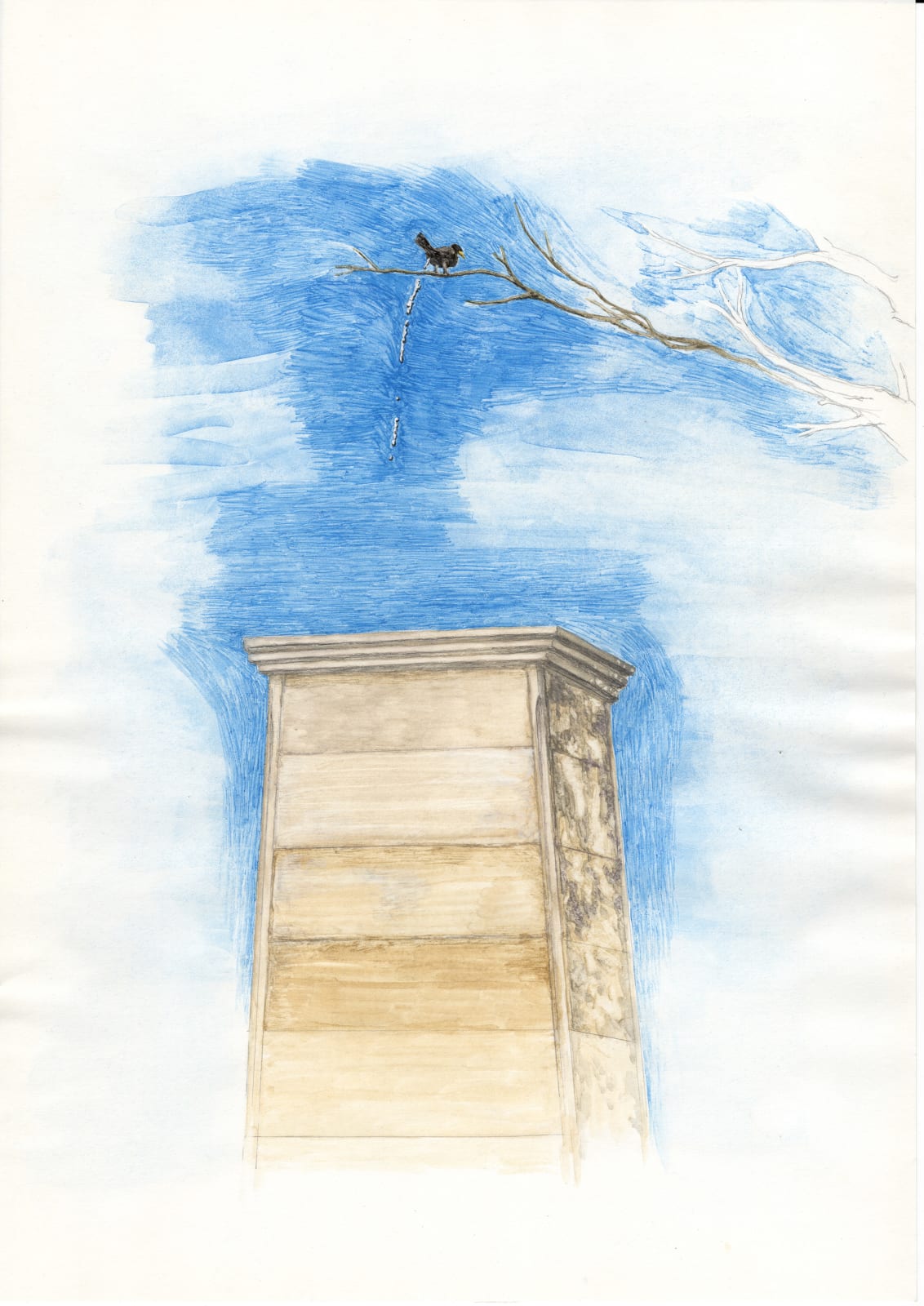 蘇育賢, 吃壞肚子的鳥 bird with a stomachache, 2024