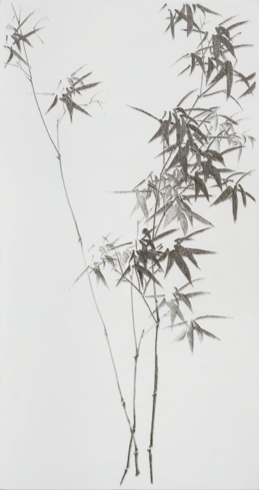 陳浚豪, 臨摹清鄭燮墨竹圖, 2018