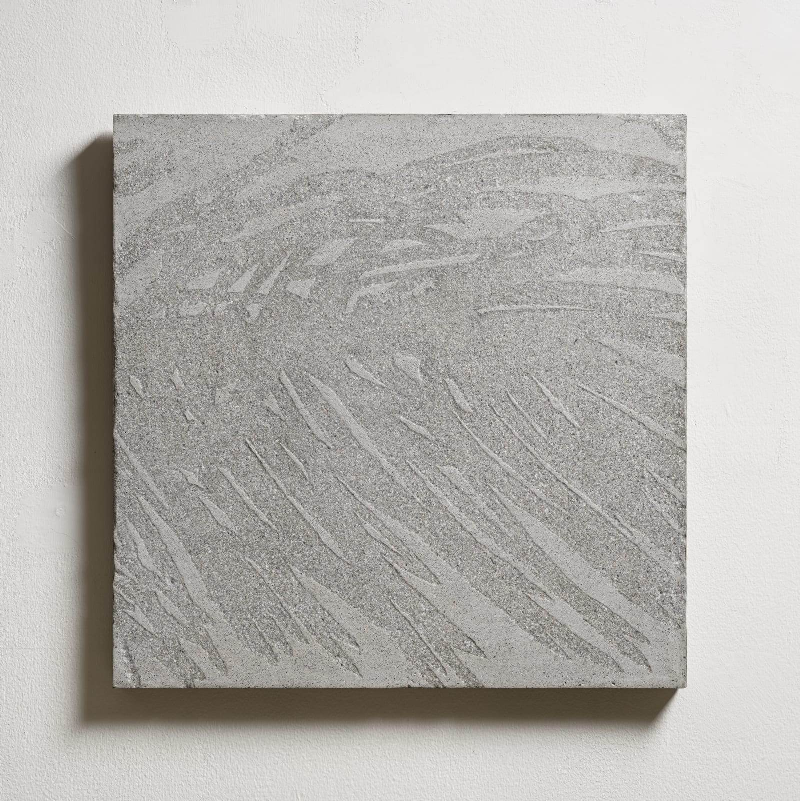邱承宏, 北美花旗松 No. 4 North American Douglas Fir No. 4, 2019