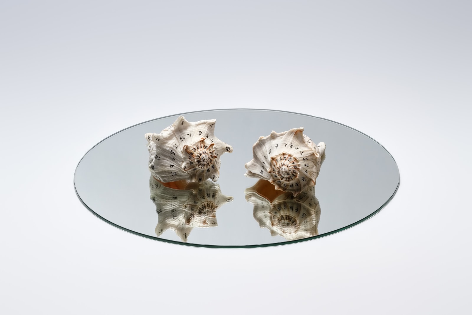 蔡佳葳, 獻給疫情受難者-大法螺III Dedication to the Victims of the Pandemic - Charonia Tritonis III, 2020
