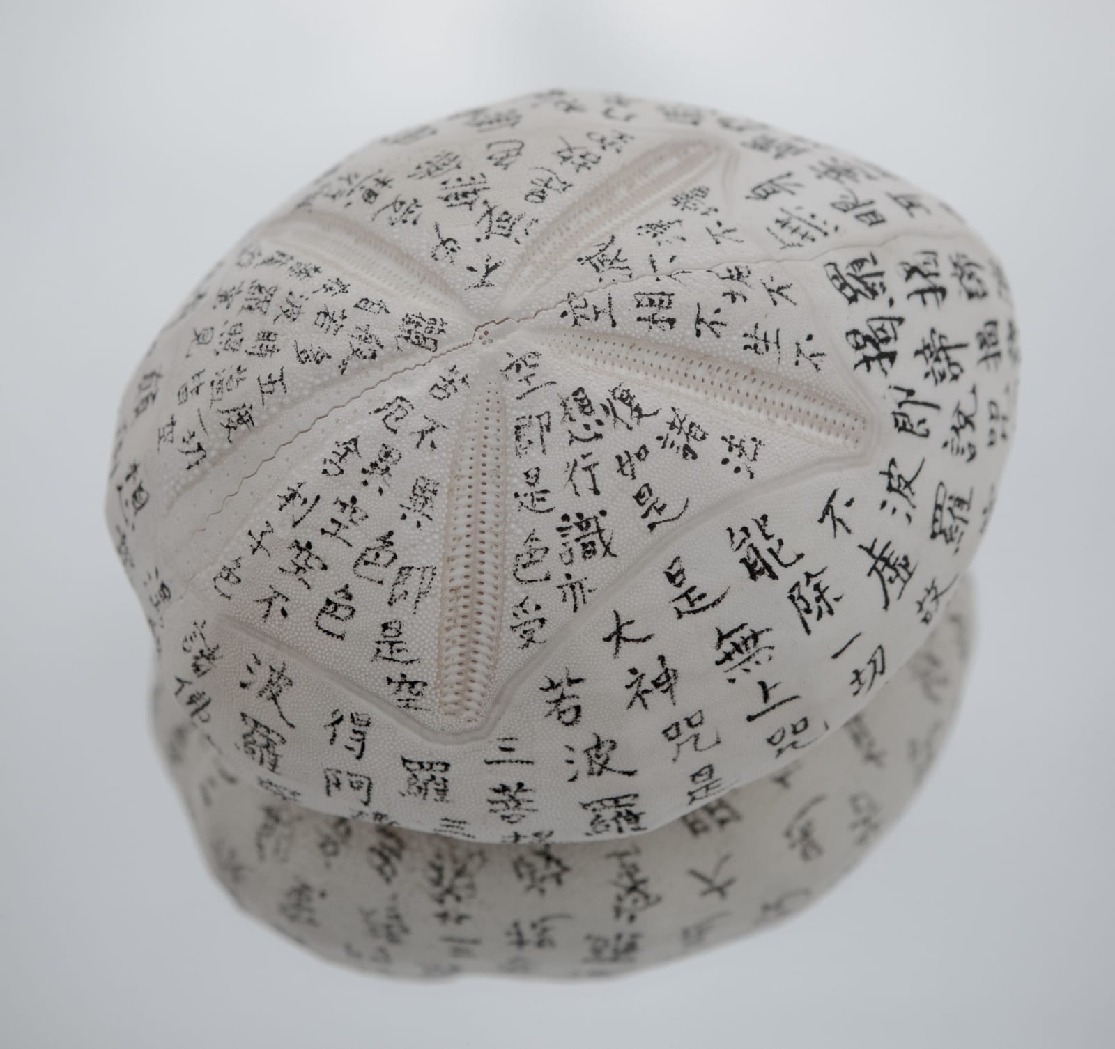 蔡佳葳, 獻給311 海嘯受難者-海膽 A Dedication to the Victims of the Tsunami of March 11, 2011 - Sea Urchin, 2014