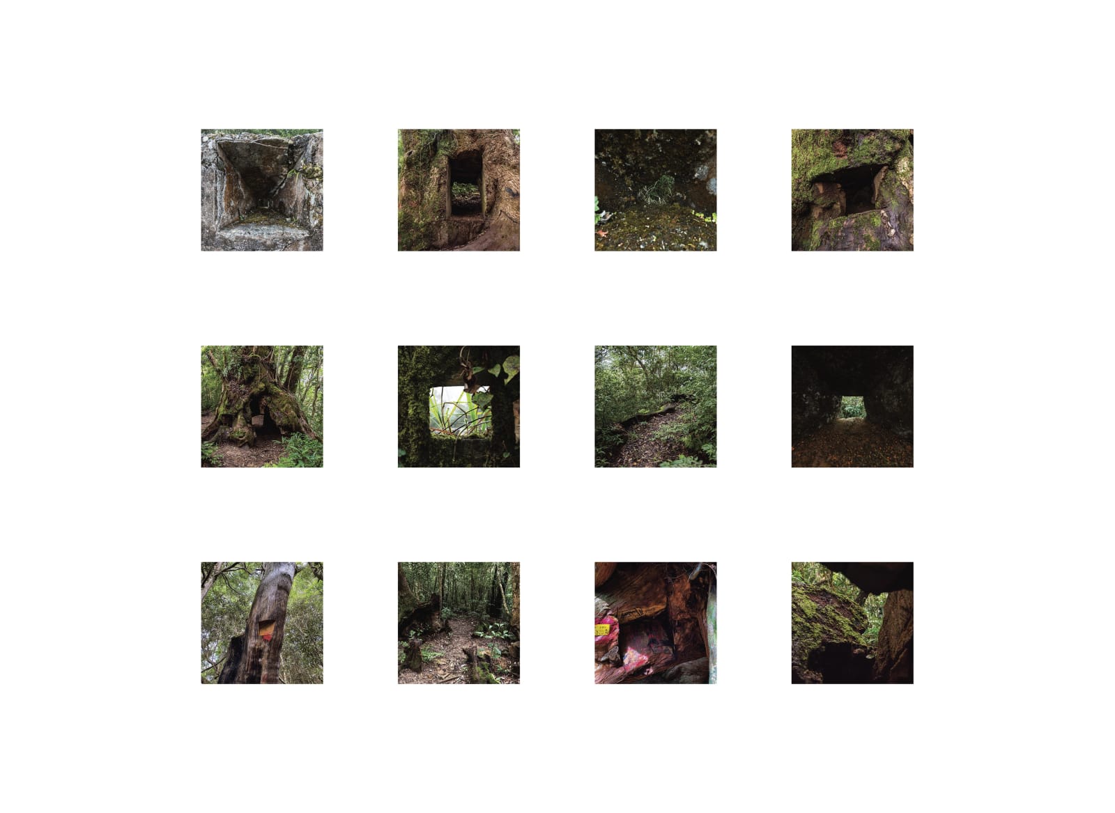 吳其育, 無題 Untitled, 2021–2022