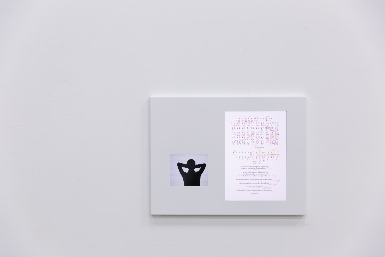 何采柔 Joyce Ho, Artist Statement, 2024