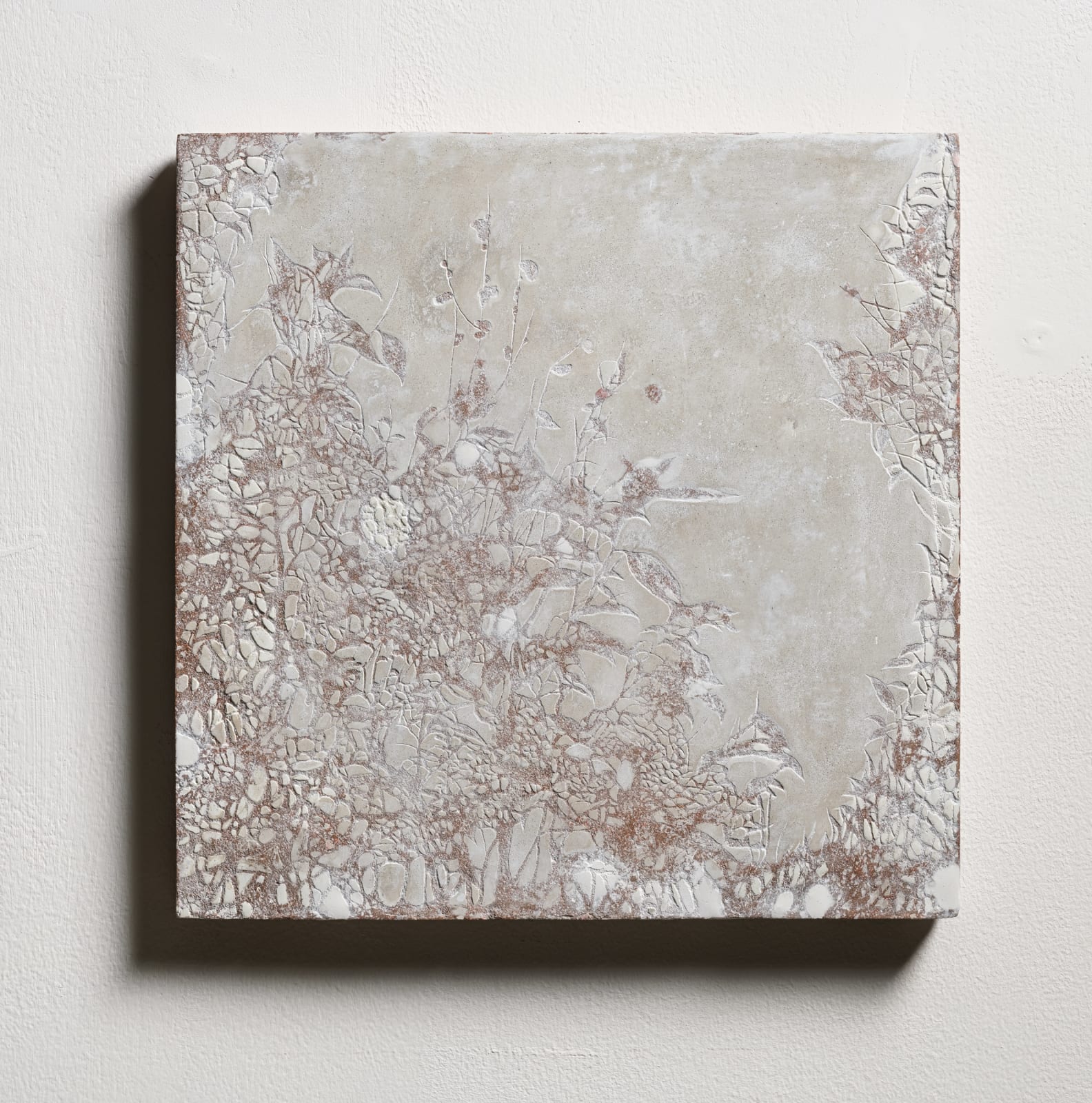 邱承宏 Chiu Chen Hung, 採光 No. 49 , 2023