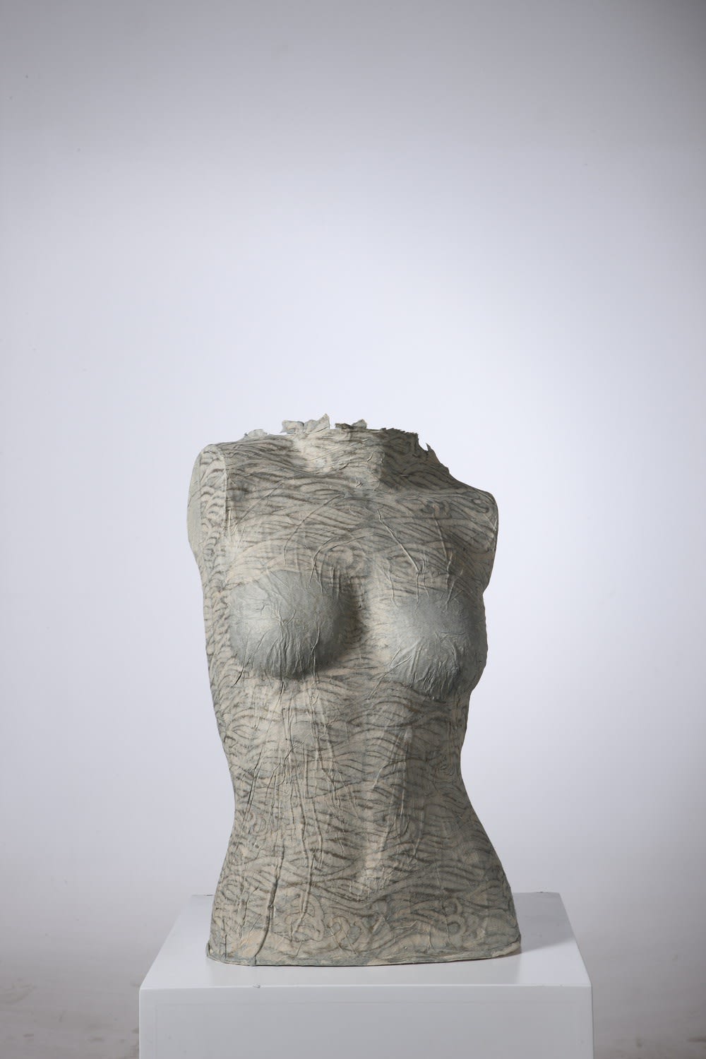 彭薇, 我在這兒–海洋, 2008