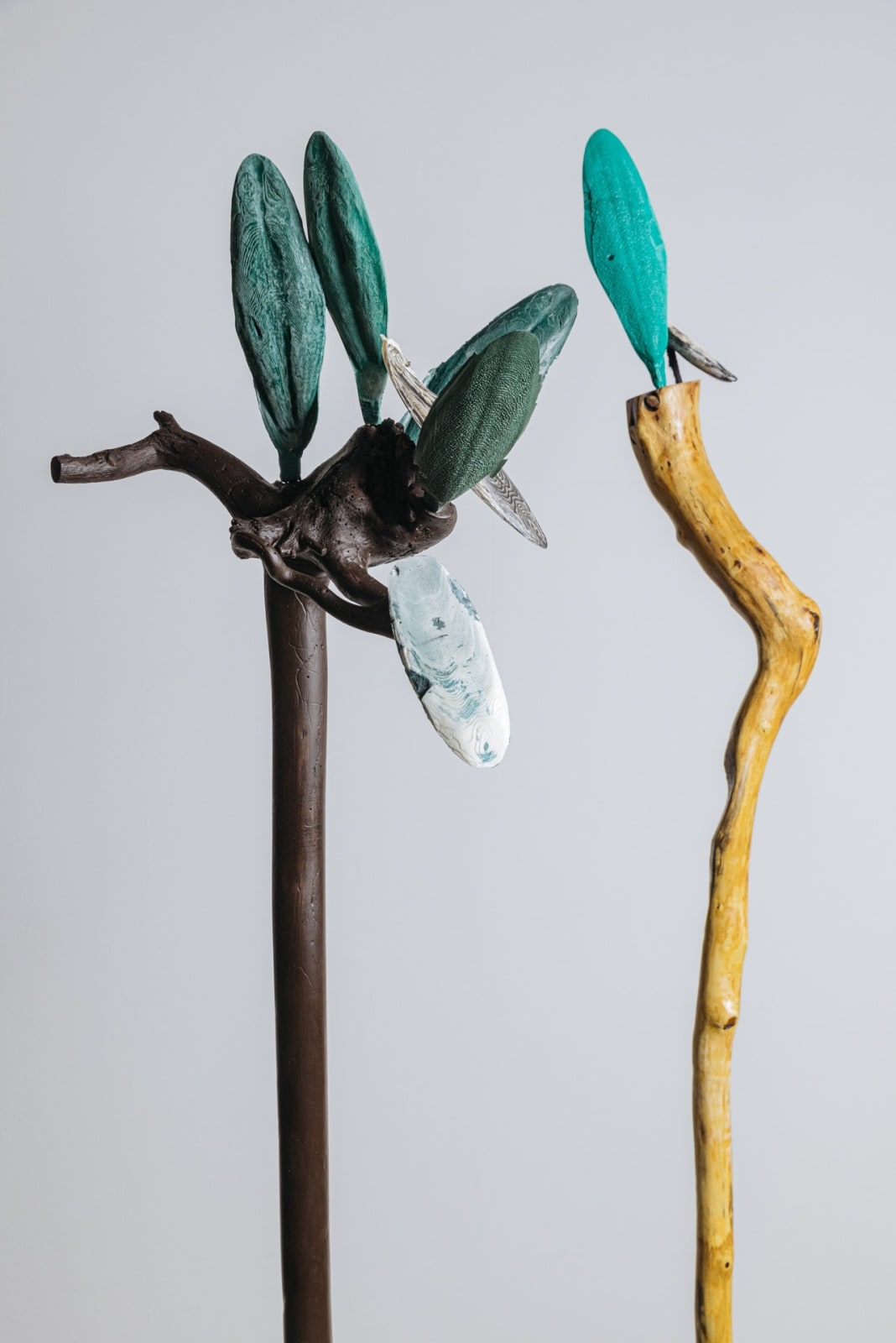 Minouk Lim, Forests SA, 2022