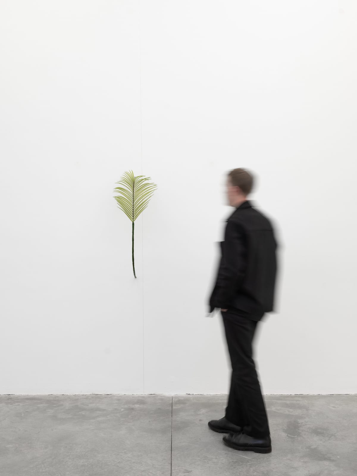 Tania Pérez Córdova, Robelina Palm (10% chance of rain), 2022