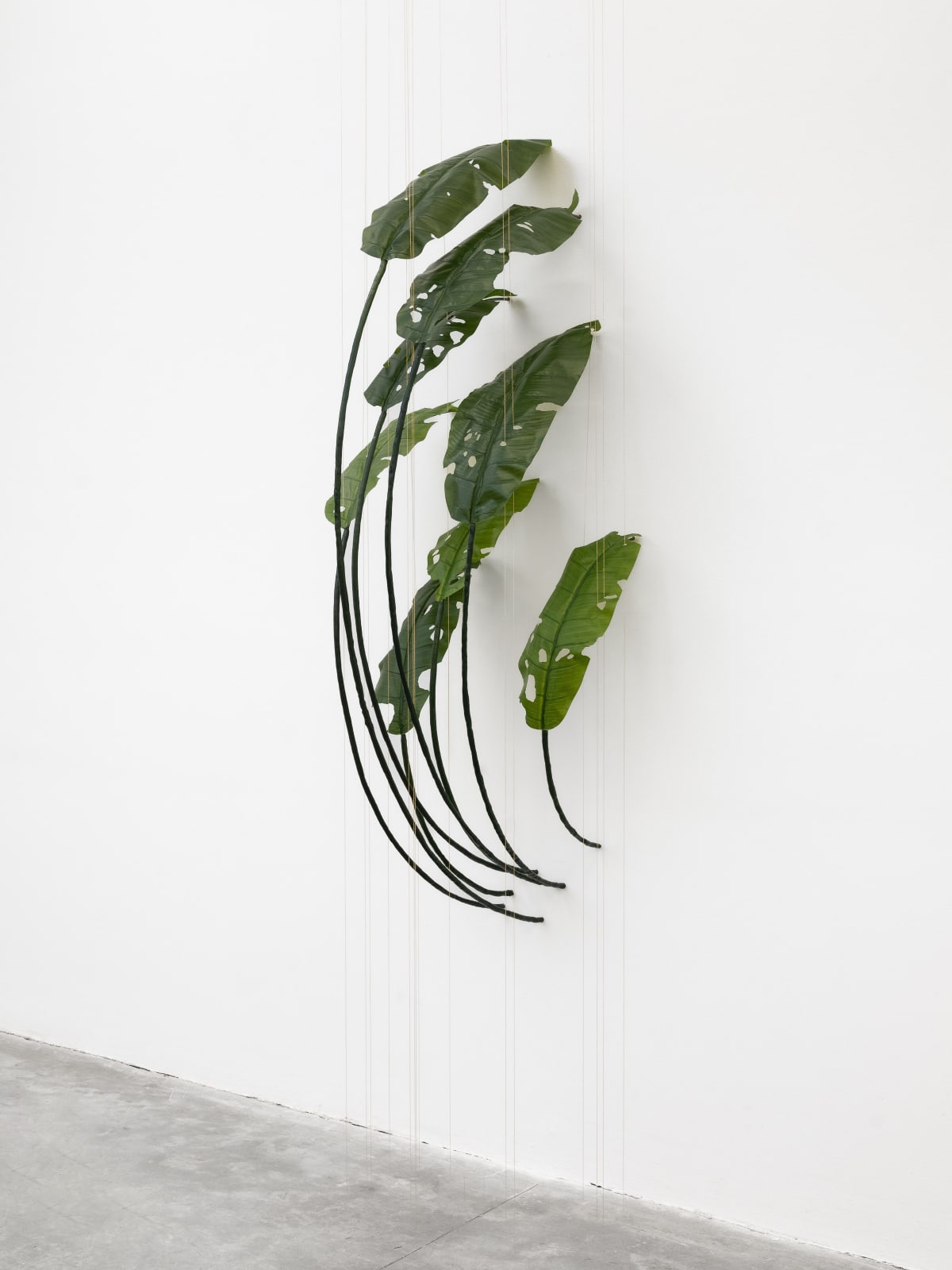 Tania Pérez Córdova, Banana (80% chance of rain), 2022