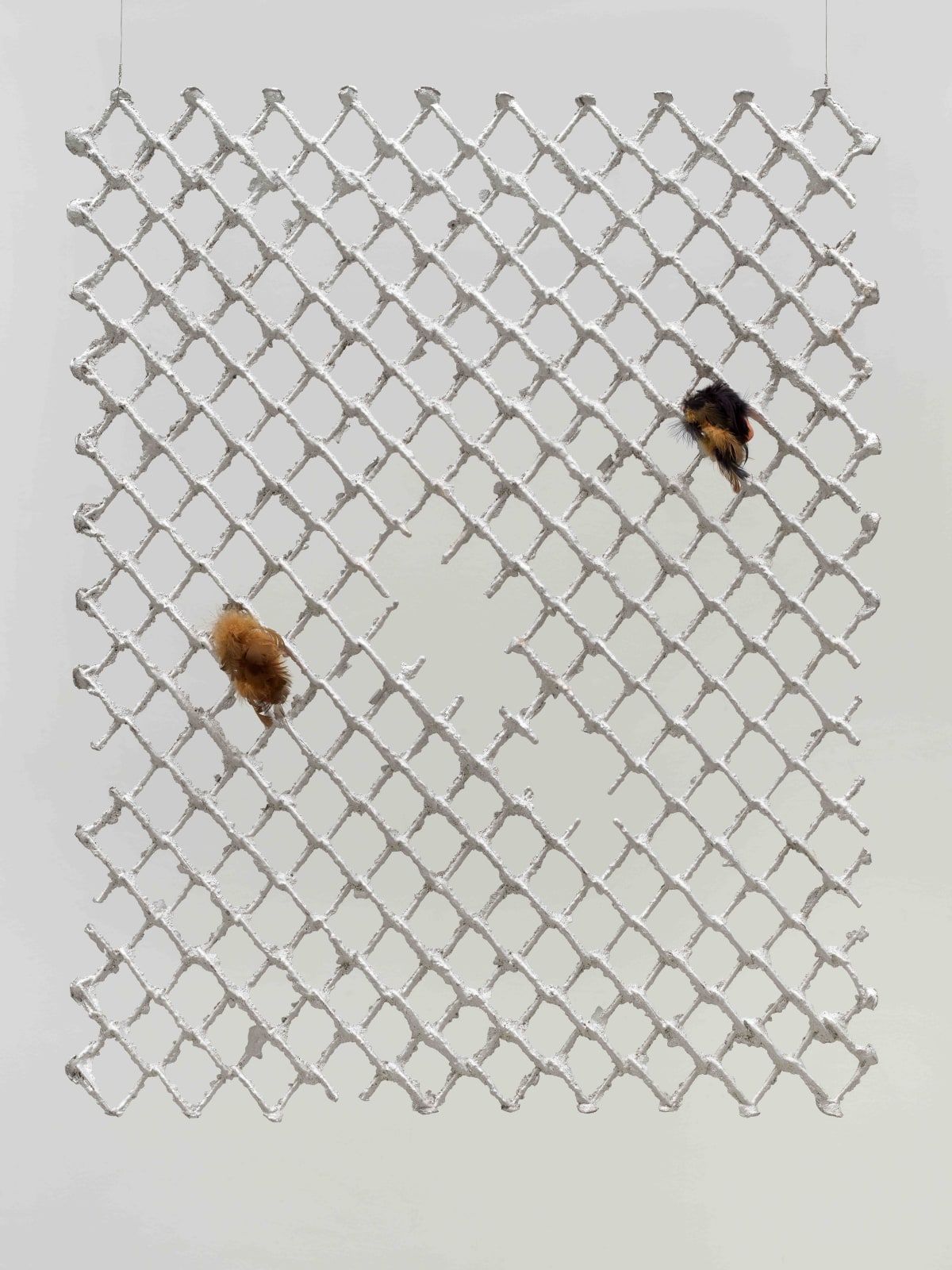Tania Pérez Córdova, Una reja en una reja 5 / A fence into a fence 5, 2022