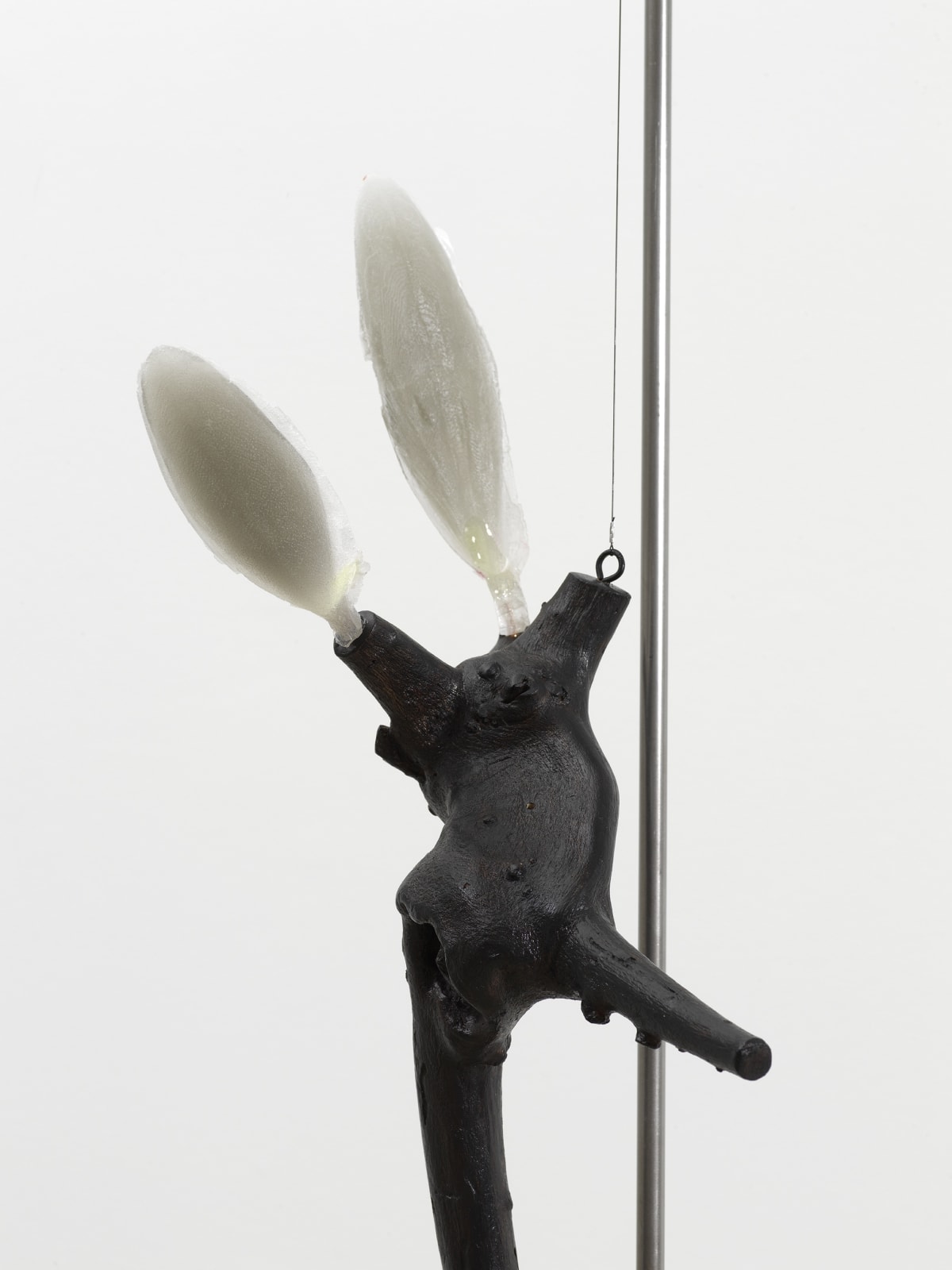 Minouk Lim, Mother Tongue, 2022