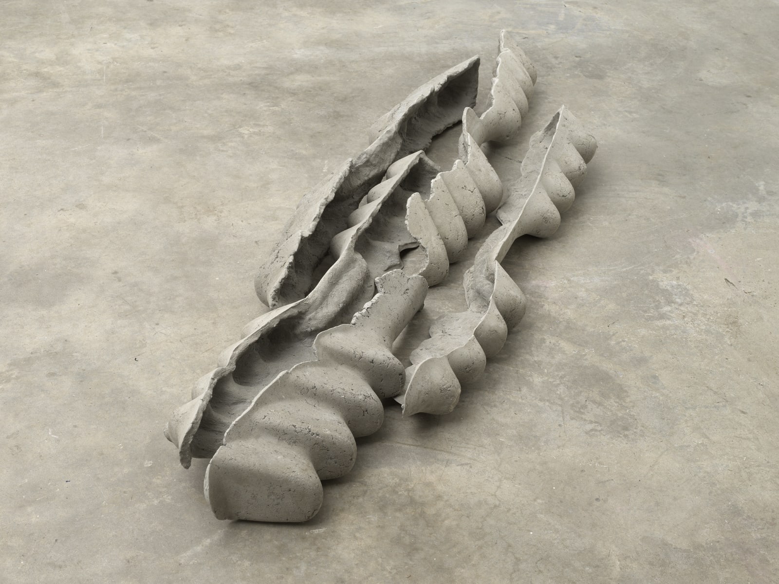 Mire Lee, Horizontal Forms; kayak ribs, 2022