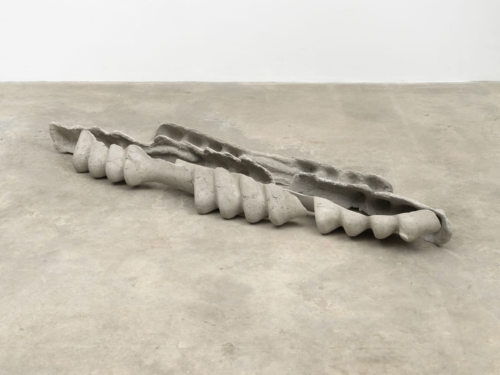 Mire Lee, Horizontal Forms; kayak ribs, 2022
