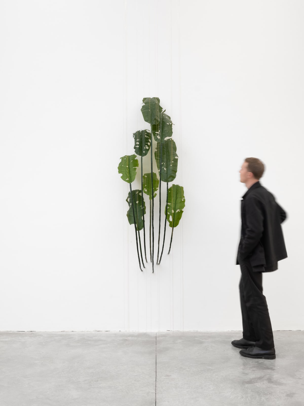Tania Pérez Córdova, Banana (80% chance of rain), 2022